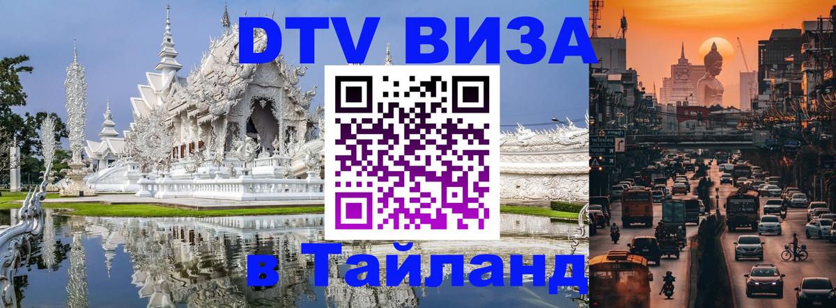 Оформление DTV визы под ключ: стоимость и тарифы, только загранпаспорт - Рязань  09.01.2026 